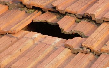 roof repair Bridestowe, Devon