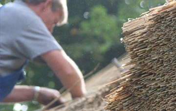 professional Bridestowe thatchers